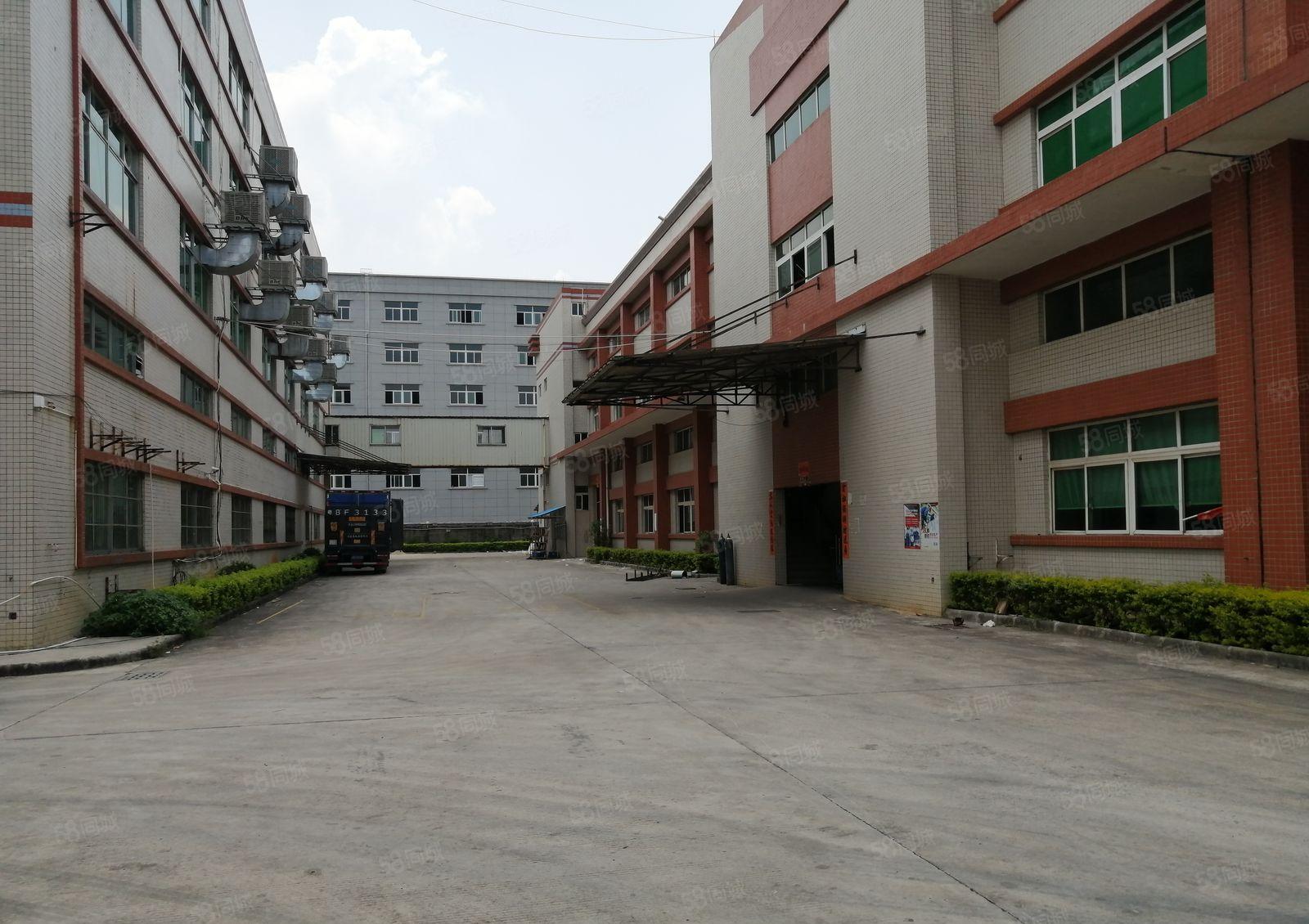 南山原房东独院厂房仓库500平1000平2000平出租