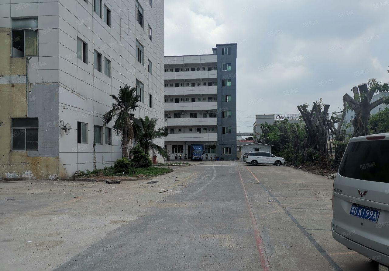 福海国际会展中心6816平方米全新村委厂房业主直租带超大空地