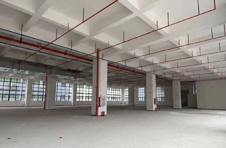 （出租）惠阳原房东红本高端厂房首层高8米承重大园区独立变压器