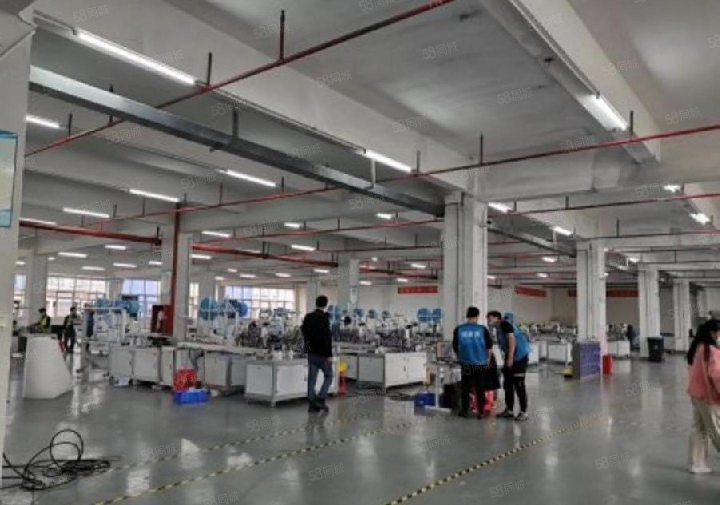 西丽大学城1000平（200平起分）精装修办公室仓库厂房出租