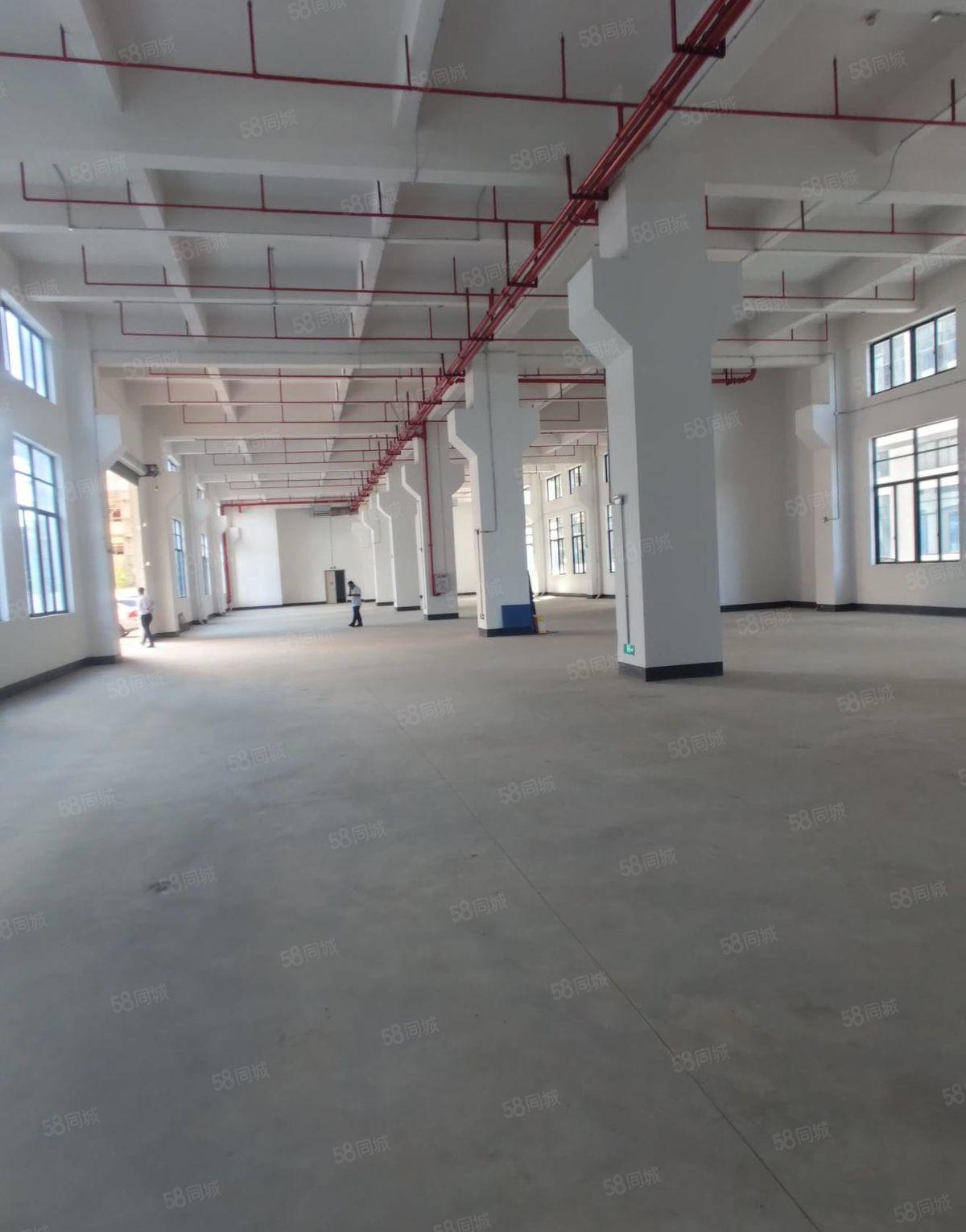 东莞大岭山镇中心一手房东红本独院厂房8层1.1万平可分租