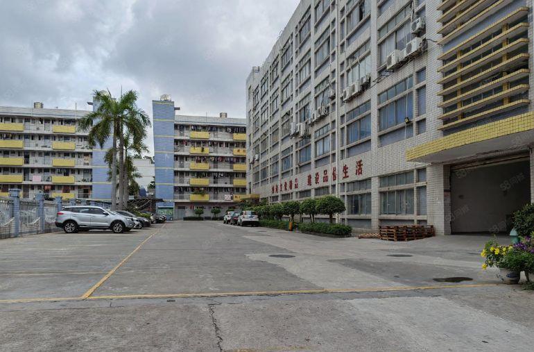 龙岗新出1000平至5000平方厂房仓库出租独院大小面积分租