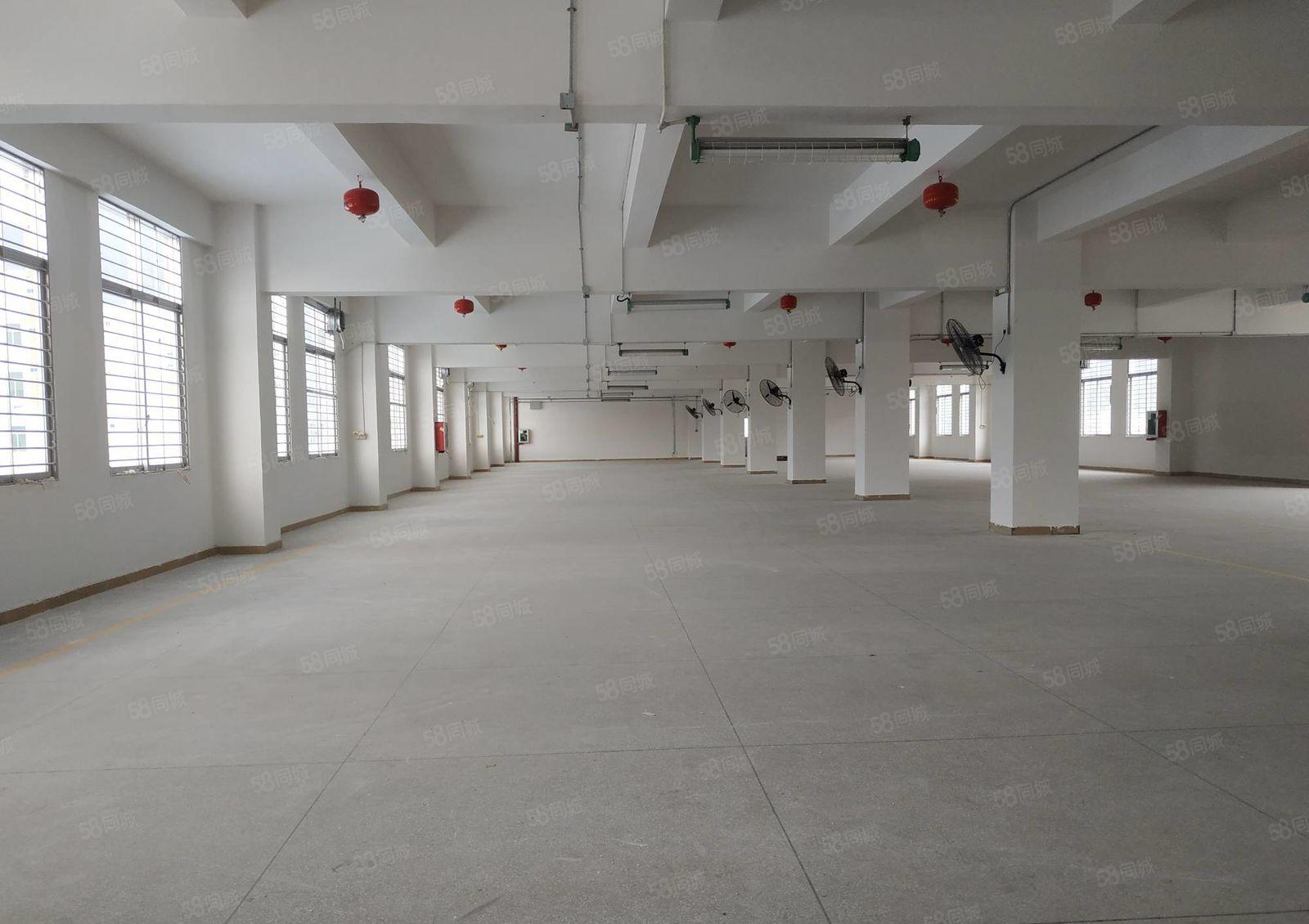 一手使用率 塘朗地鉄口 一楼整层1600平直租