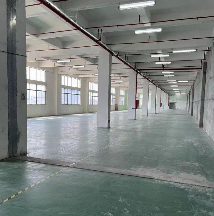 原房东直租公明楼村厂房1680㎡，高5.5米，配3吨货梯