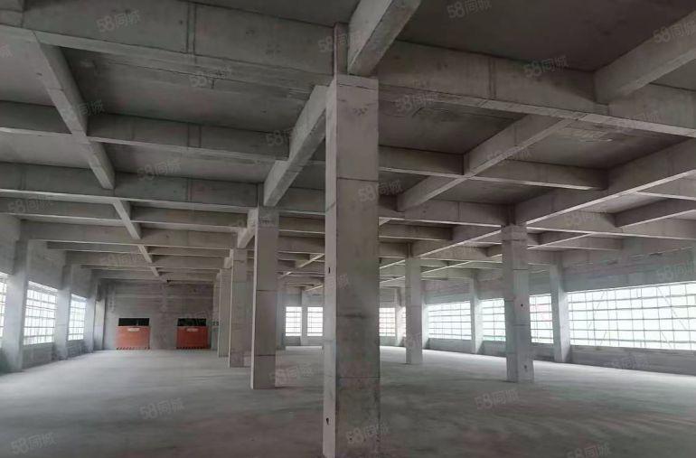 前湾新区国企全新高品质厂房出租 首层层高超9米