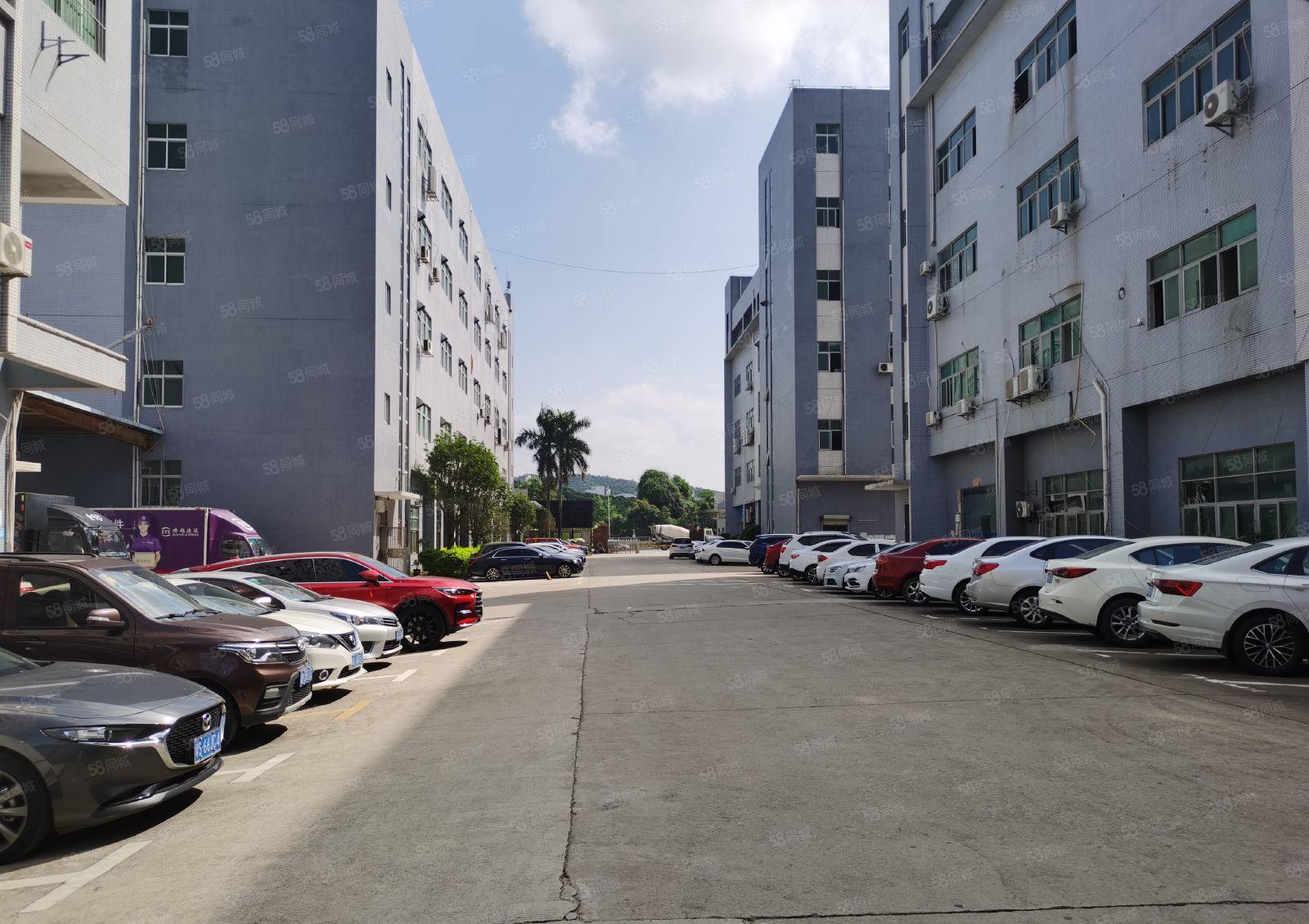 350平办公室装修车间地坪漆，石岩坑尾工业区两部货梯可办环评