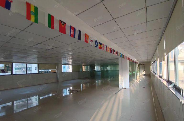 南山科技园原房东红本精装修500平方厂房办公超大空地低价出租