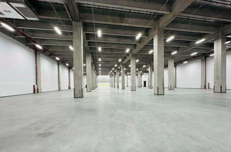 1000平起凤岗层高9米物流仓坡道仓出租配卸货平台可进拖头车