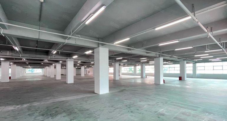 西丽2楼整层4000平可分租一半租金优惠实用率高，高性价比