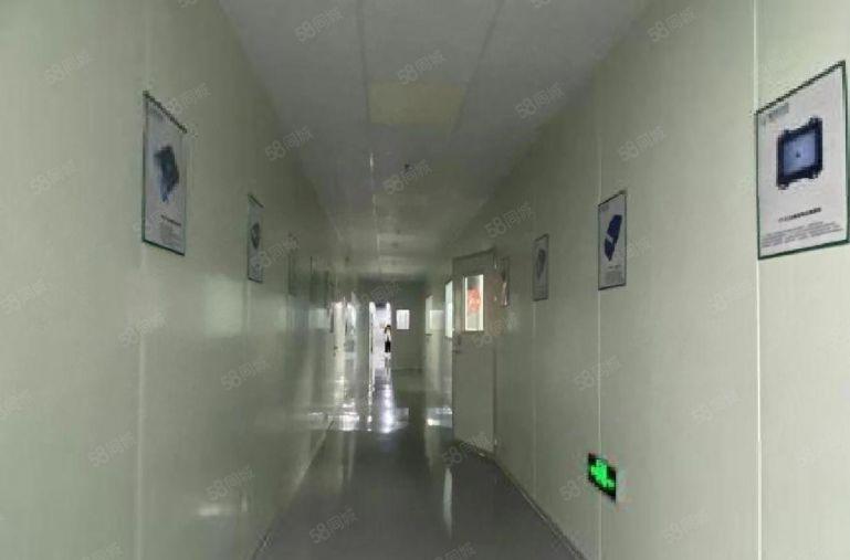 西乡兴东原房东精装修1500平电商贸易仓库厂房出租可分租