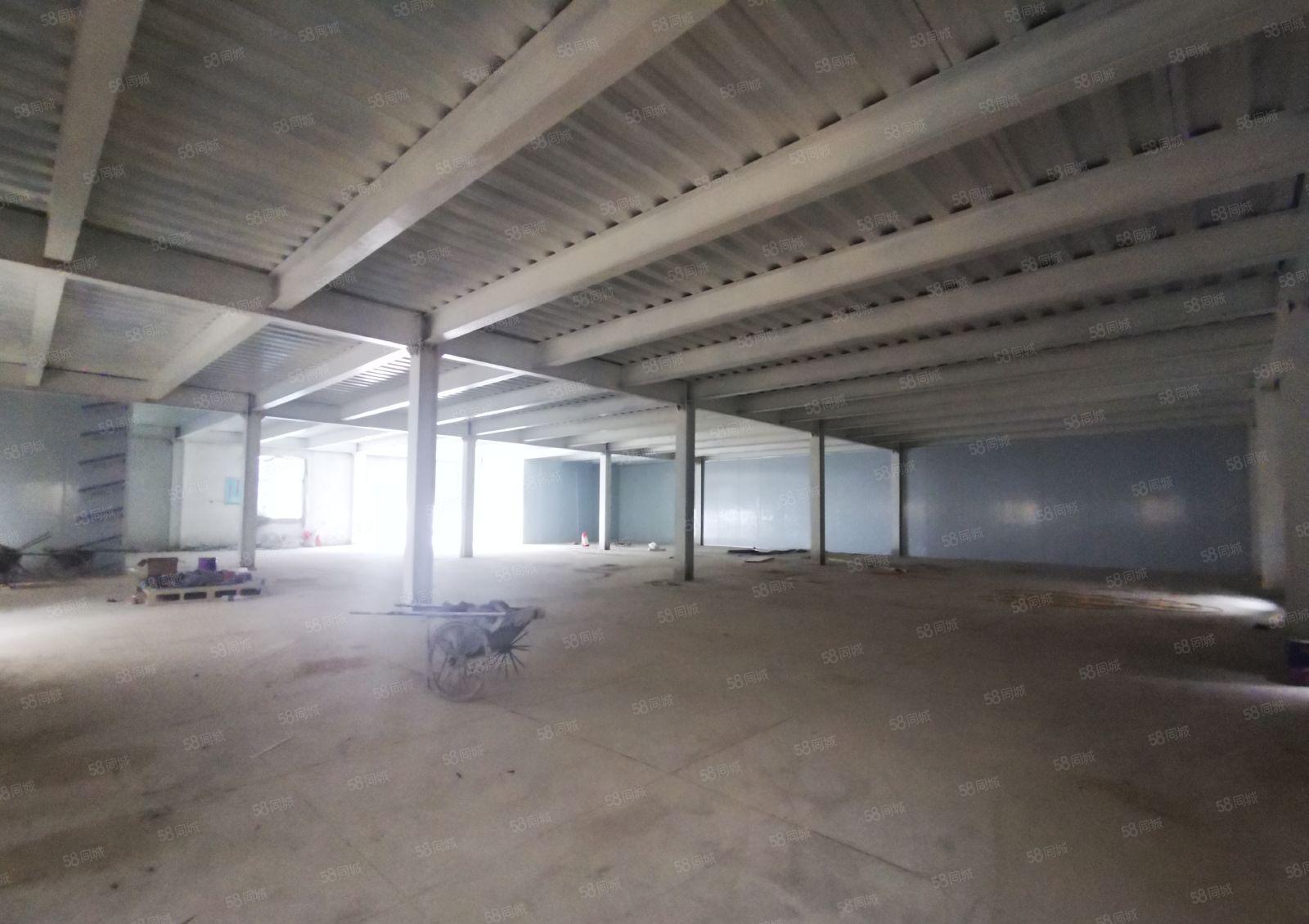 南山西丽 港大深校区附近 独院一楼钢构1100平 环境极好