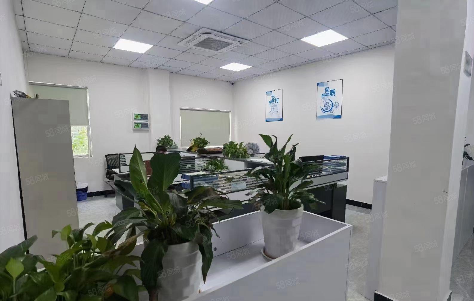 福田上梅林地铁口200至3000平办公写字楼厂房仓库出租可分