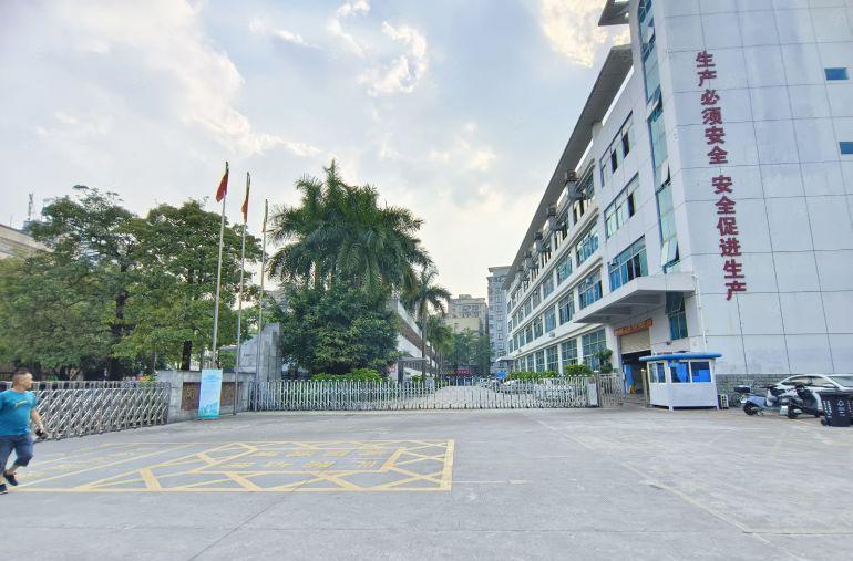 东莞沙田独院原房东厂房出租7000平方700平起分超大空地