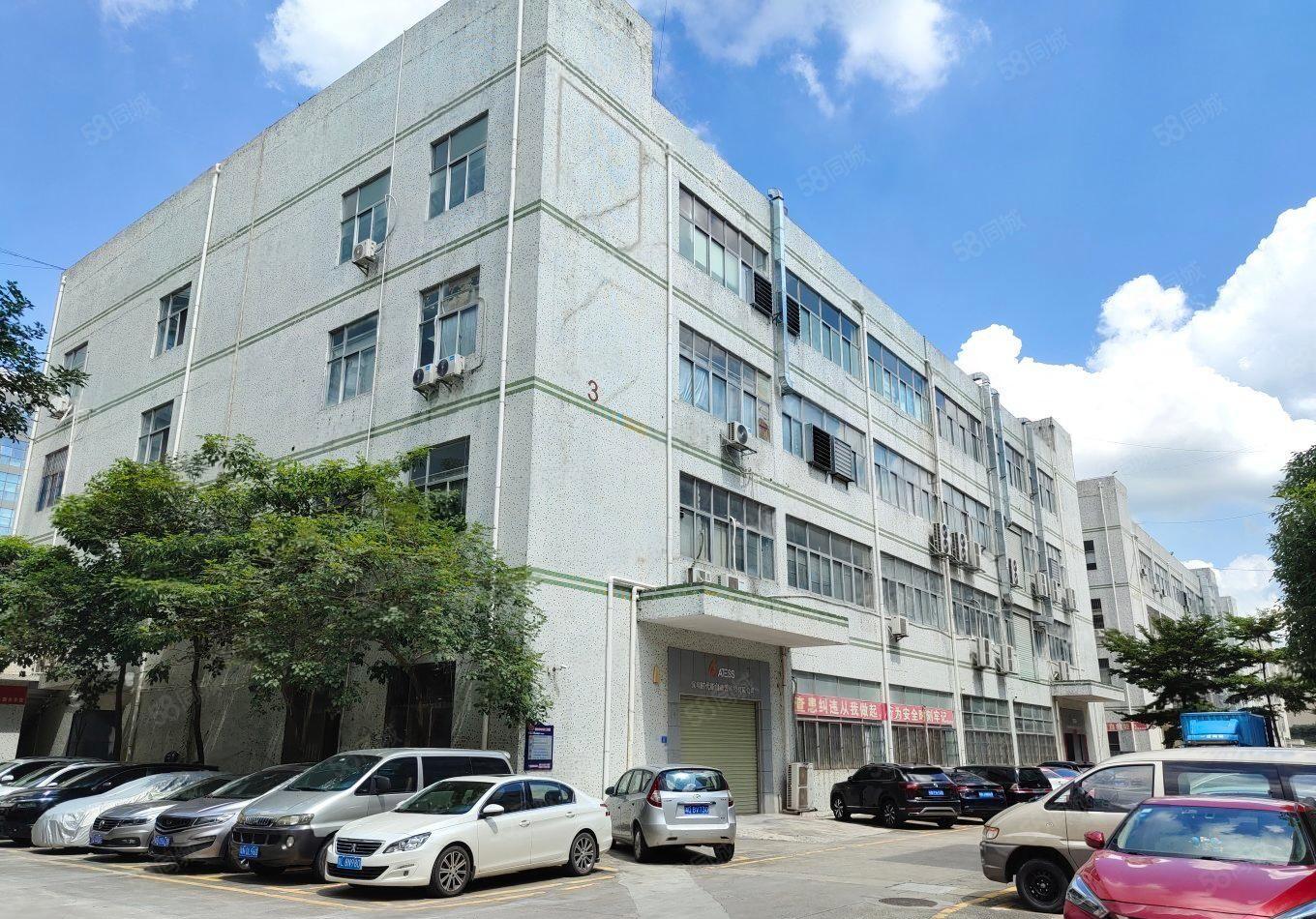 石岩水田新出原房东带装修厂房出租低价厂房出租仓库出租