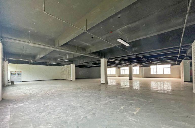 西丽留仙洞 独立半层1000平  高使用率 行业不限