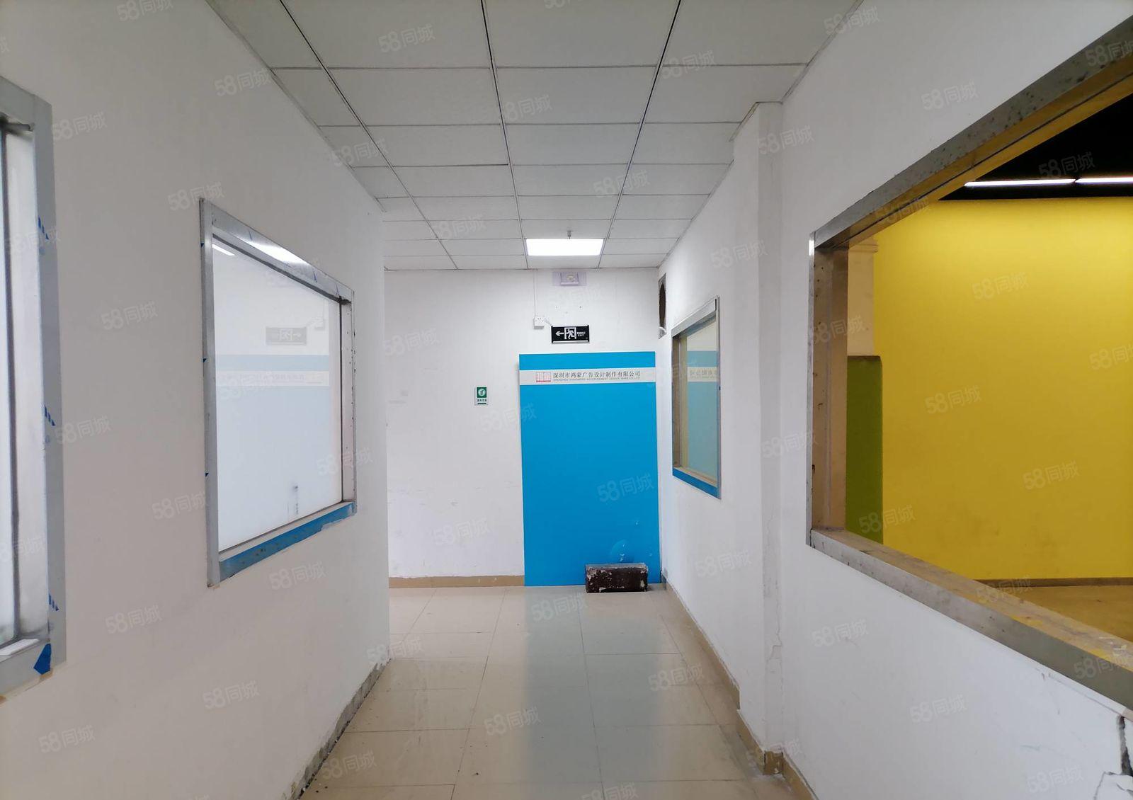 物业直租南山300平物流仓库，适合递物流，配送，食品饮品批发