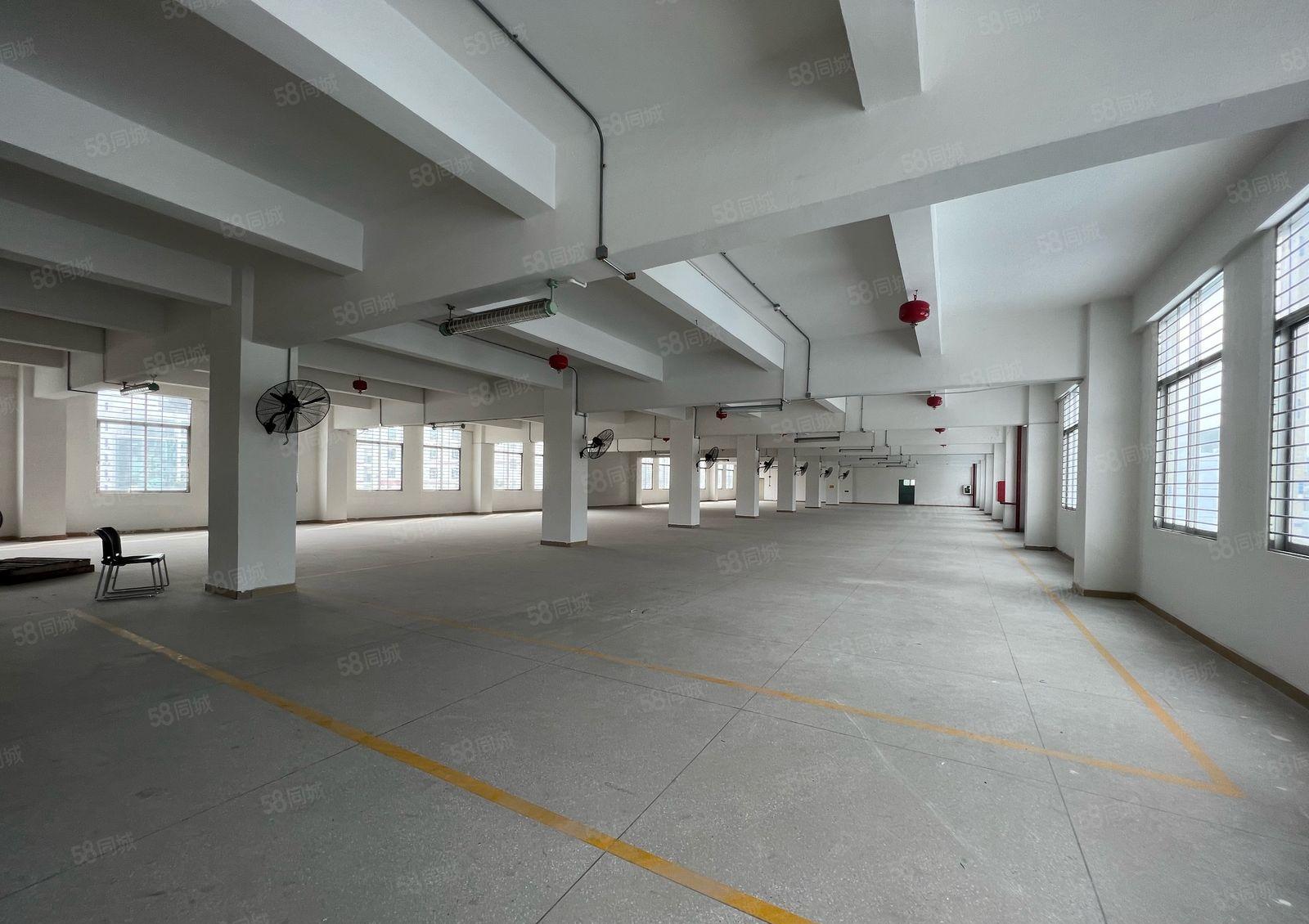 西丽独院厂房整层1716平 带货梯有消防 不限行业 已空置