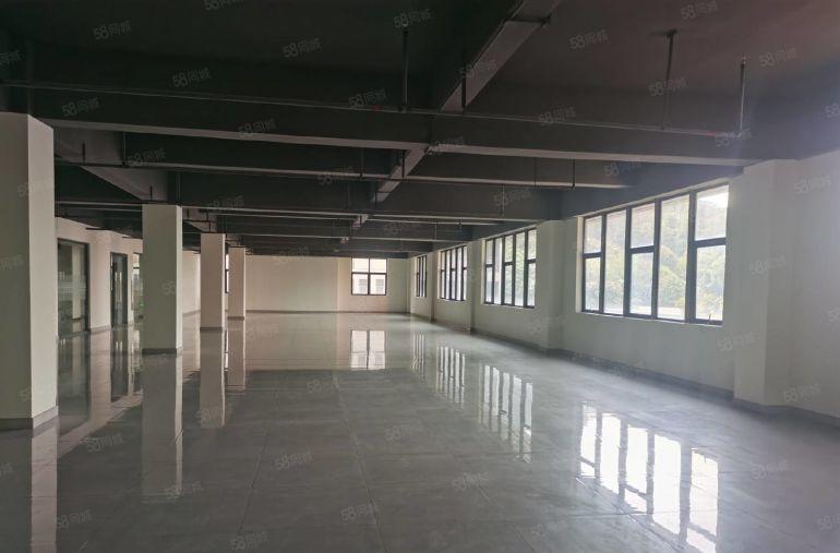 前海赤湾厂房130~2176平可办公生产仓库价格好谈即租即用