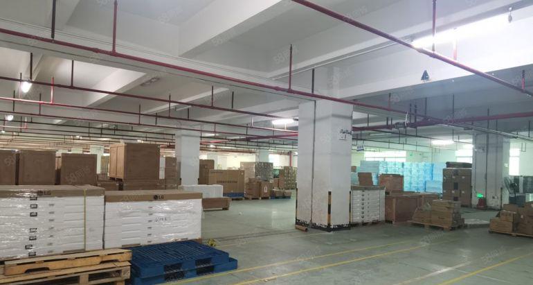 西丽大型园区办公厂房500平低价23元起租 交通方便欢迎看房