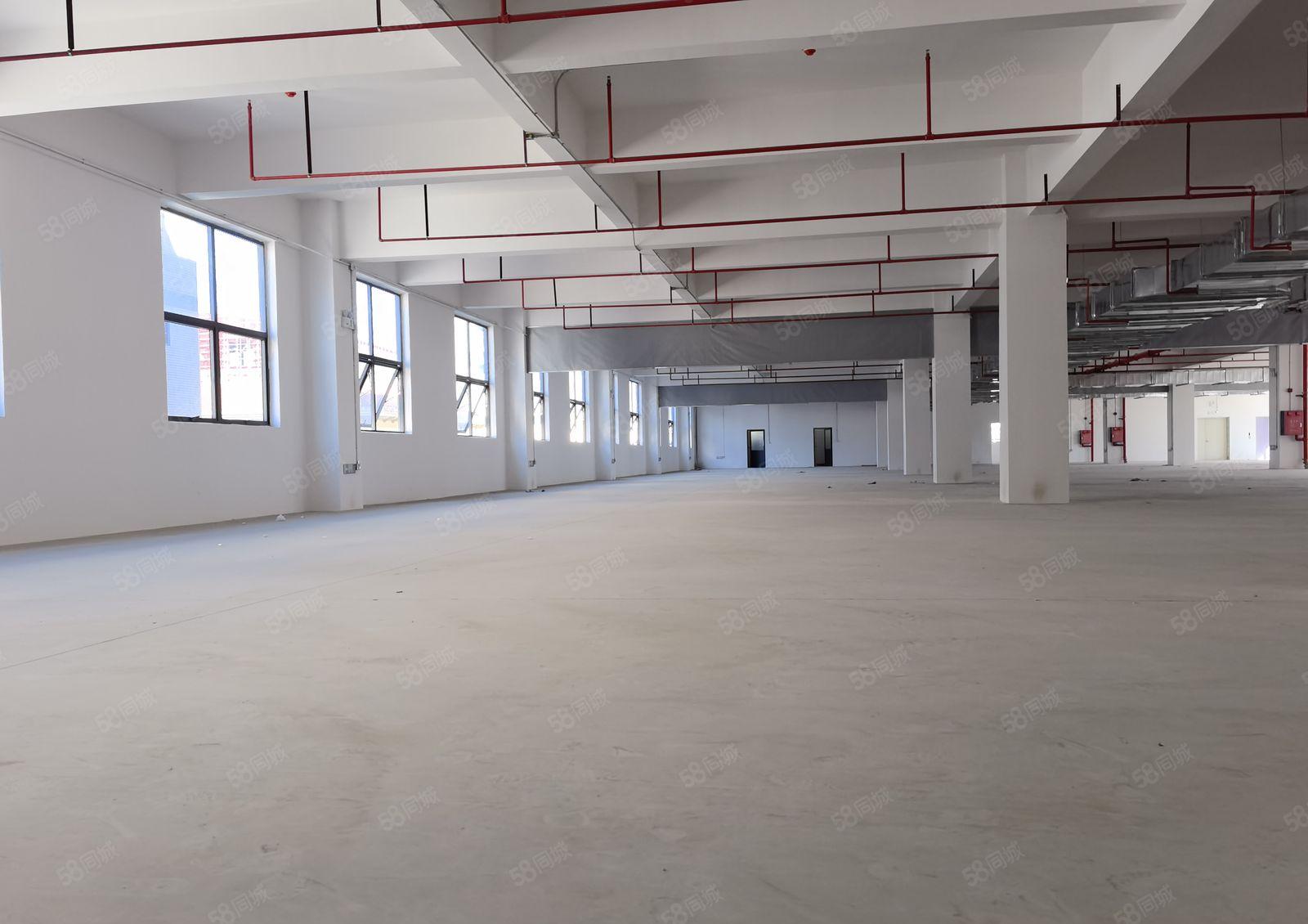 凤岗临深1一5层单层面积2000平 500平起分租