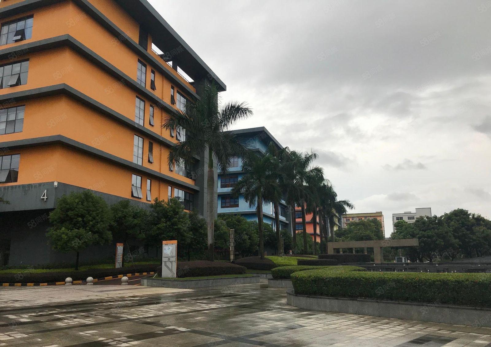 西丽百旺信科技园精装200至5300平办公室电商仓库厂房出租