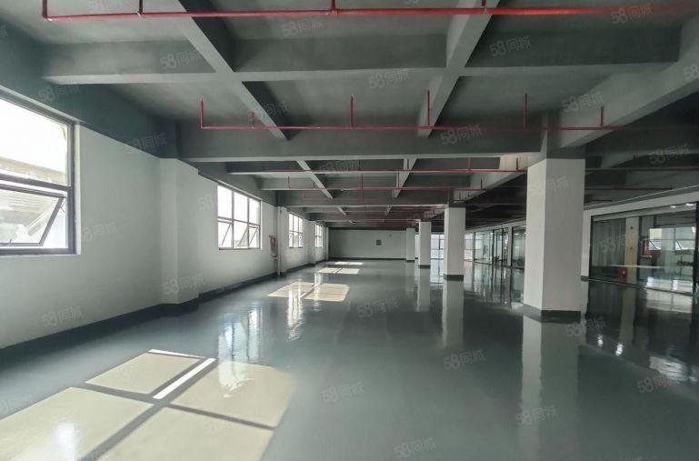 西丽地铁口200平至1000平厂房仓库室招租可定制装修