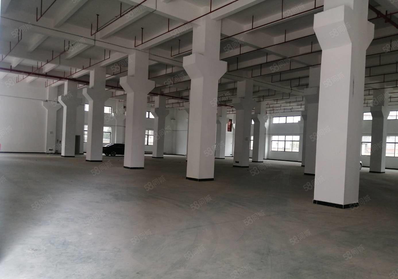 临深原房东园区独栋一到5层7500平全新地坪漆厂房招租 可分