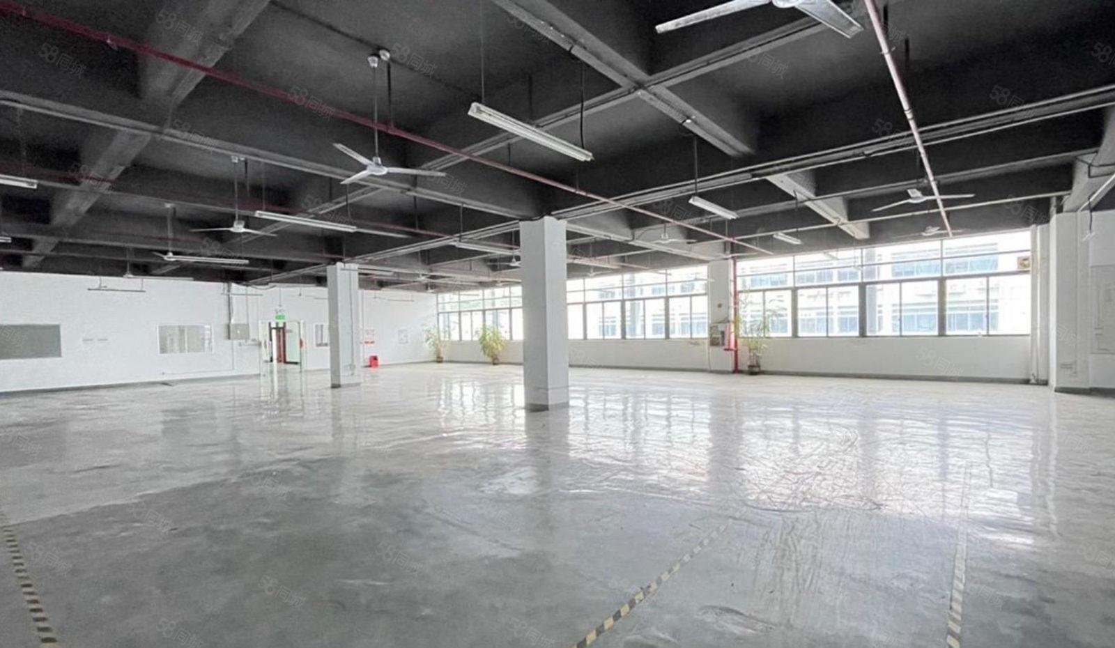 深大站 整层业主直租1275平 租金65元 八成使用率