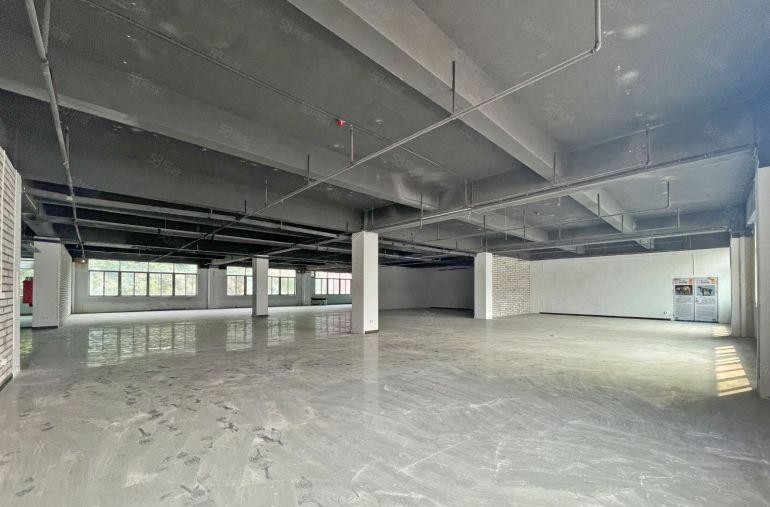 西丽留仙洞 独立半层1000平  高使用率 行业不限