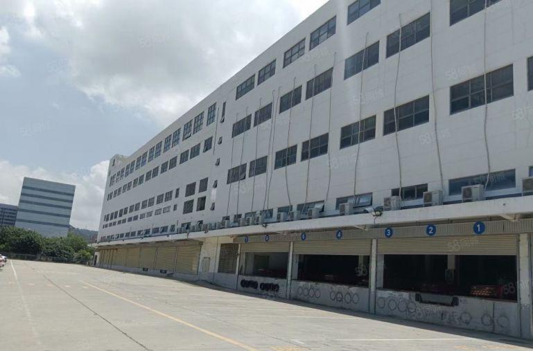 宝安西乡机场附近50000平红本独东原房东重工业厂房仓库出租