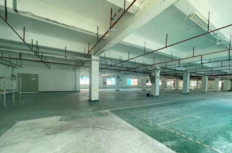 西丽主干道新出1500平红本厂房现成办公出租，500平起租