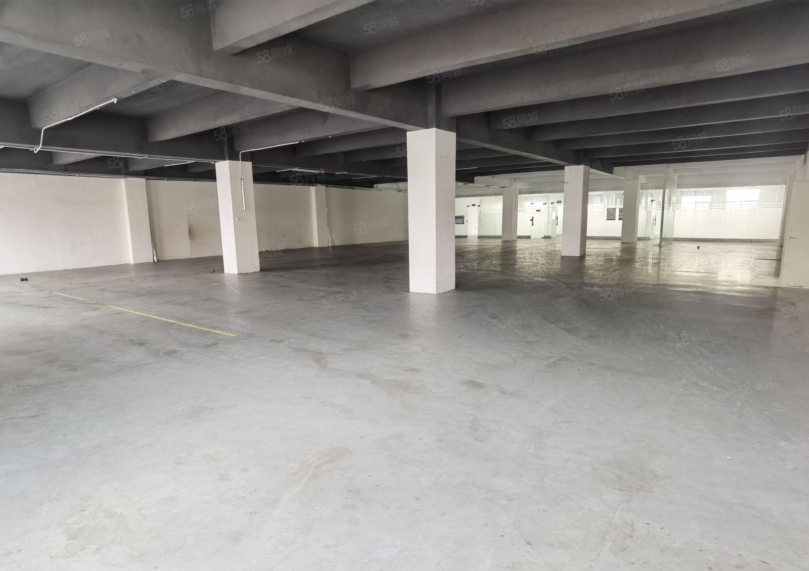 南山西丽阳光工业区新出原房东带装修厂房1230平