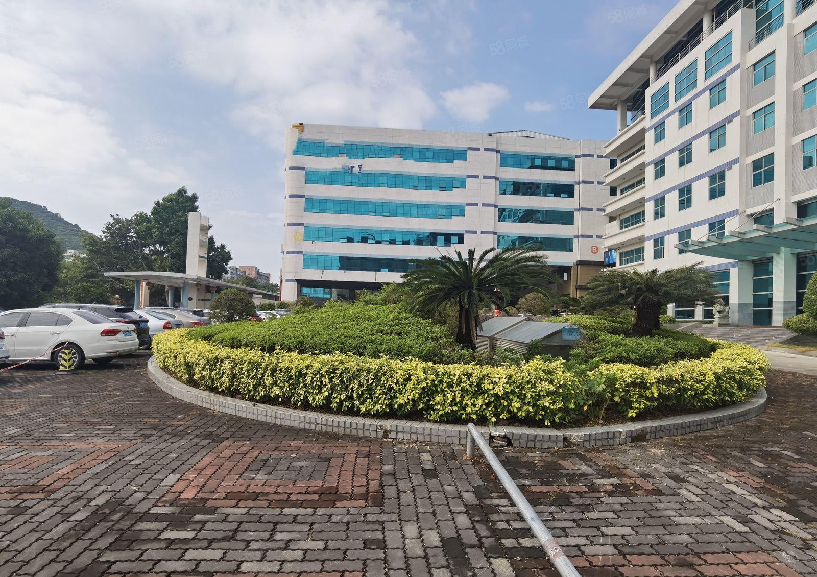 南山松白路主干道边新出带装修845平厂房