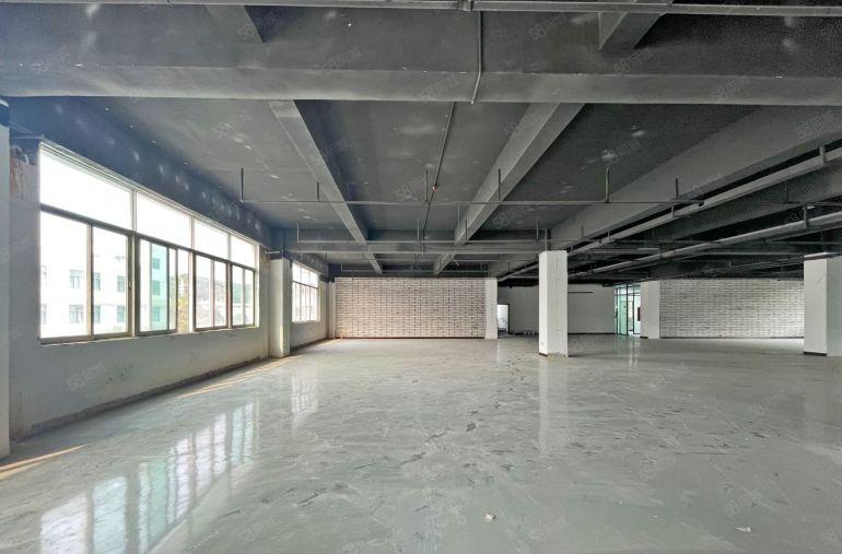 西丽留仙洞 独立半层1000平  高使用率 行业不限