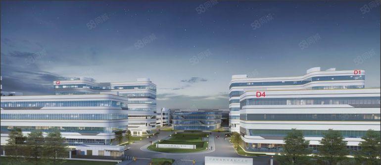 前湾新区国企全新高品质厂房出租 首层层高超9米