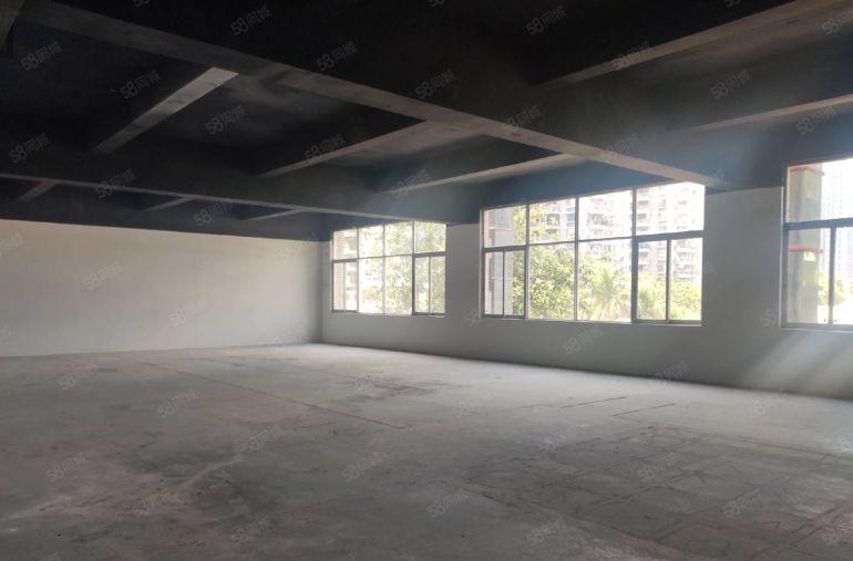 南头同乐园区  80平至450平  层高5米 场地