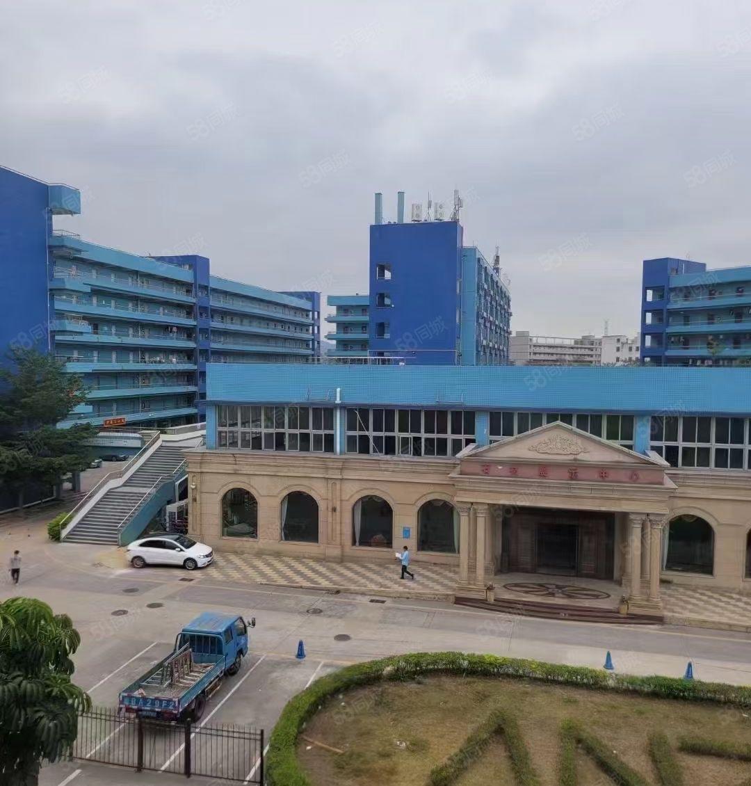 西丽科技园一楼300平至3000平物流电商仓库厂房出租可分租