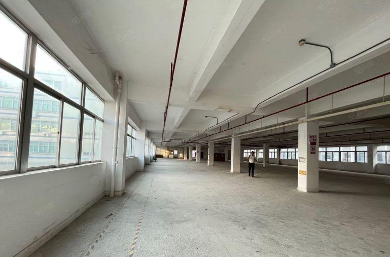 南山西丽地铁口楼上1200平米精装修厂房出租仓库分租