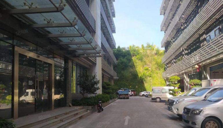 蛇口赤湾工业区1楼400平层高4.5米可以分租