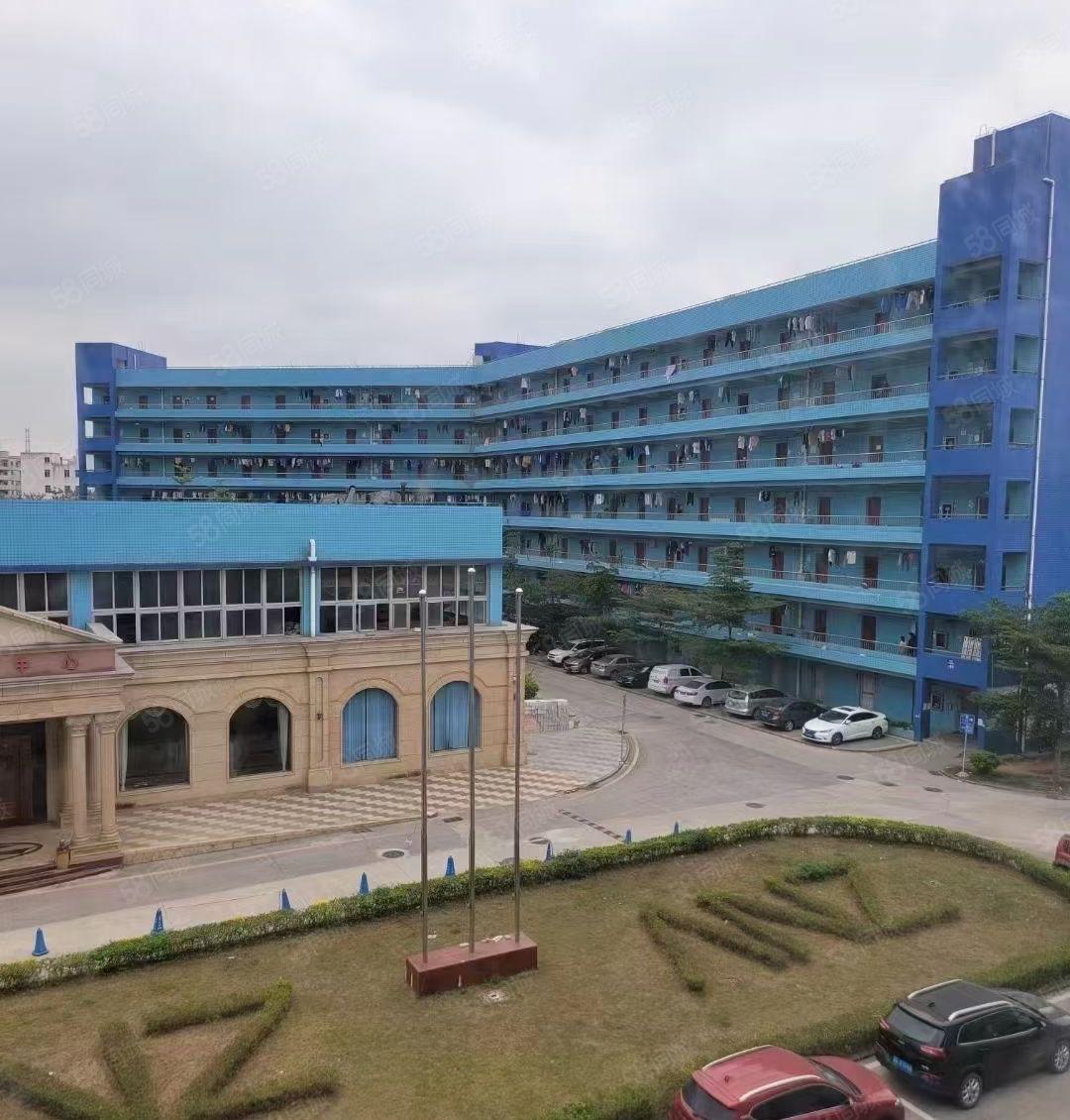 西丽科技园一楼300平至3000平物流电商仓库厂房出租可分租