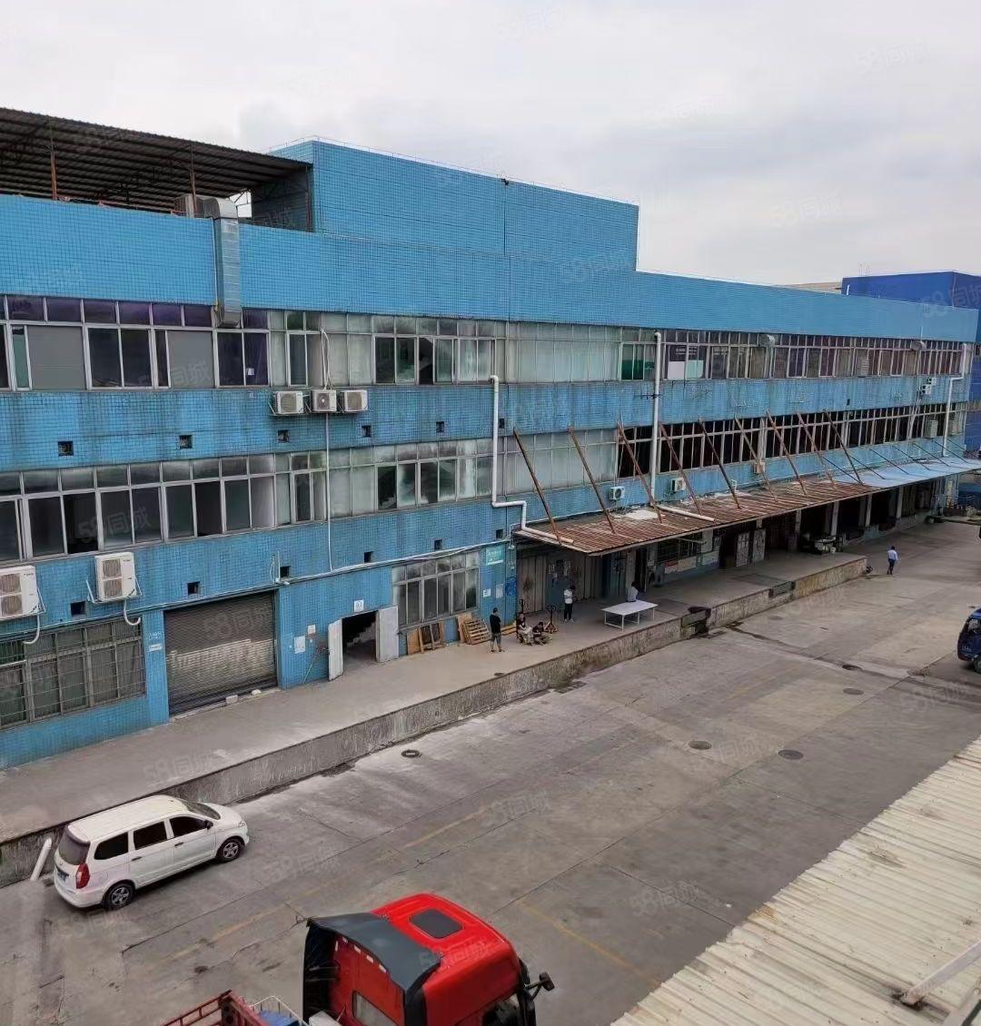 西丽科技园一楼300平至3000平物流电商仓库厂房出租可分租