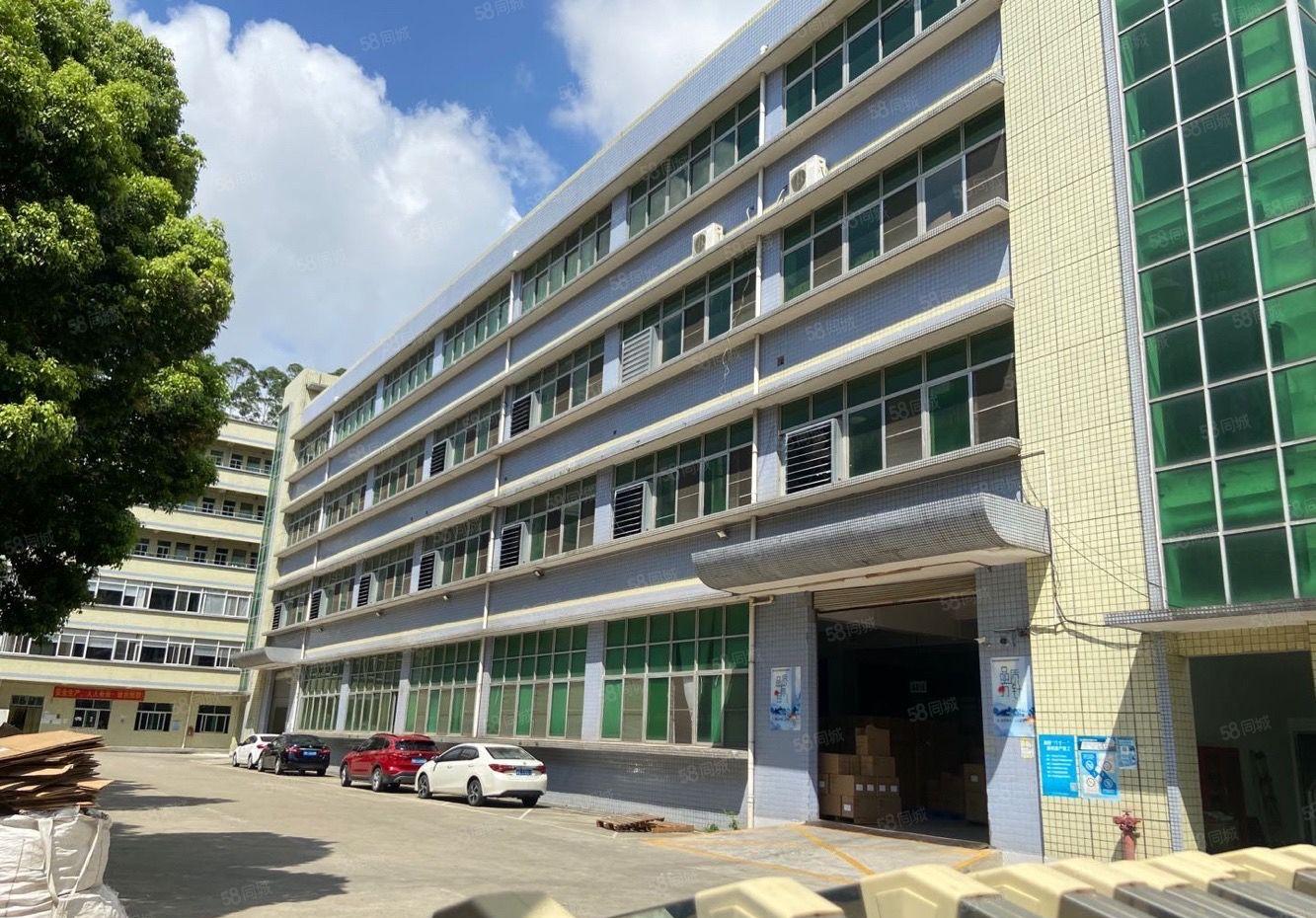 龙华观澜1.25万平方独门独院原房东8成使用率仓库厂房出租