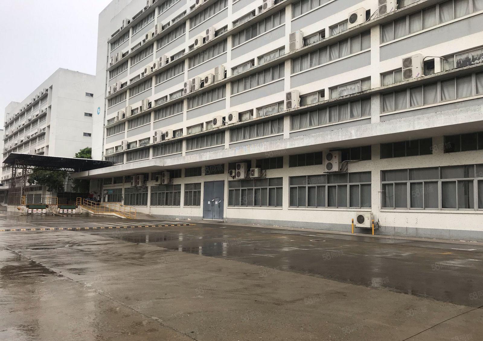 西丽百旺原房东整栋厂房出租面积17250平米