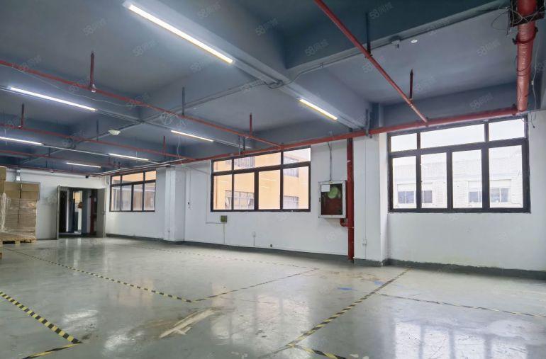南山西丽主干道旁 新出独门独院 精装厂房620平 带喷淋