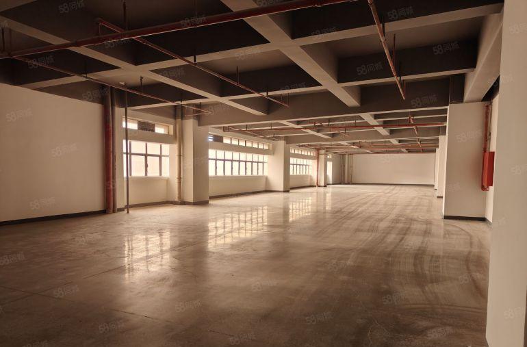 0押金丨一楼厂房出租丨仓库丨沙头角保税区320至5000平