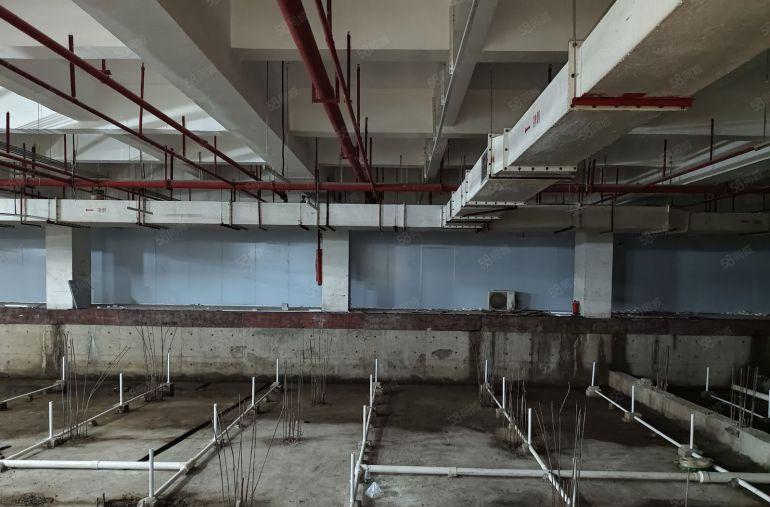 一手业主直租南山科技园1250平方现成游泳馆 适合集训基地