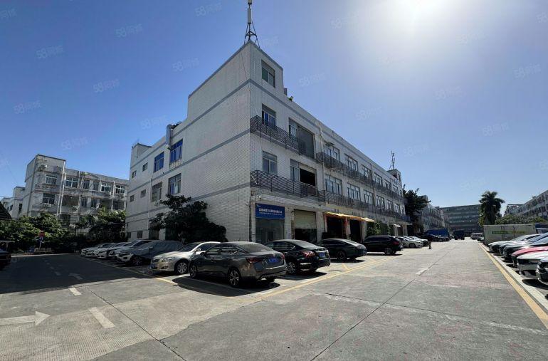 南山西丽工业区精装修厂房办公仓库出租一楼电商仓库大小面积分租