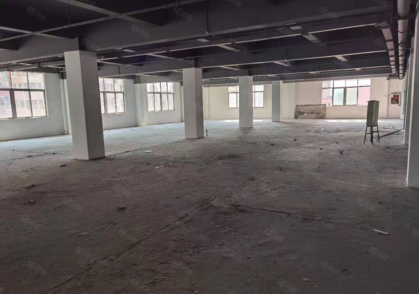 南山西丽文化园300，1300平精装修装修，一房东直租