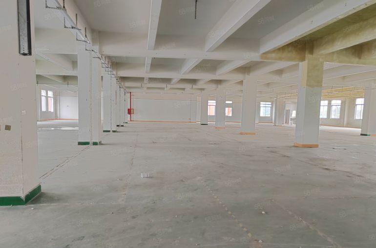 南山西丽大磡科技园 可整租可分租价格面议