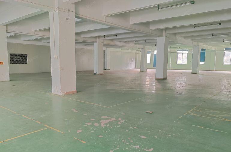 南山西丽厂房出租 大小面积可分 性价比高  交通便利 随时看